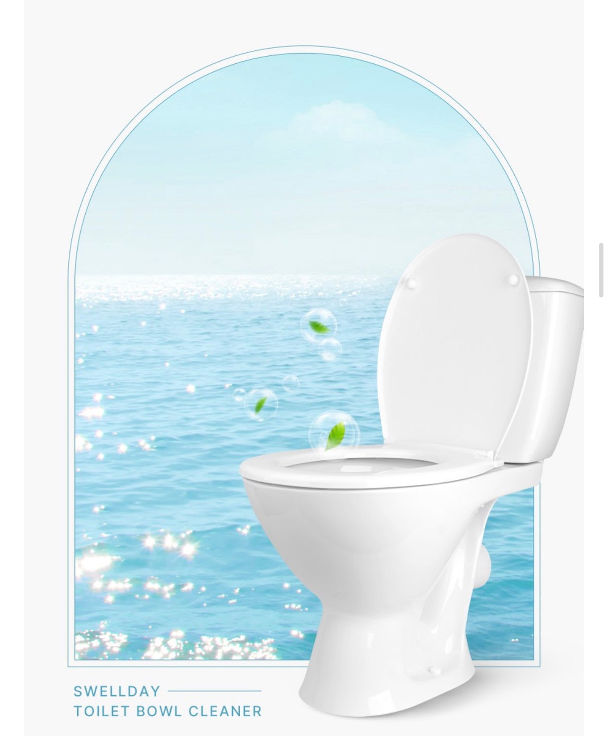 Swell Day Hanging Bottle Toilet Bowl Cleaner with String (200 g)