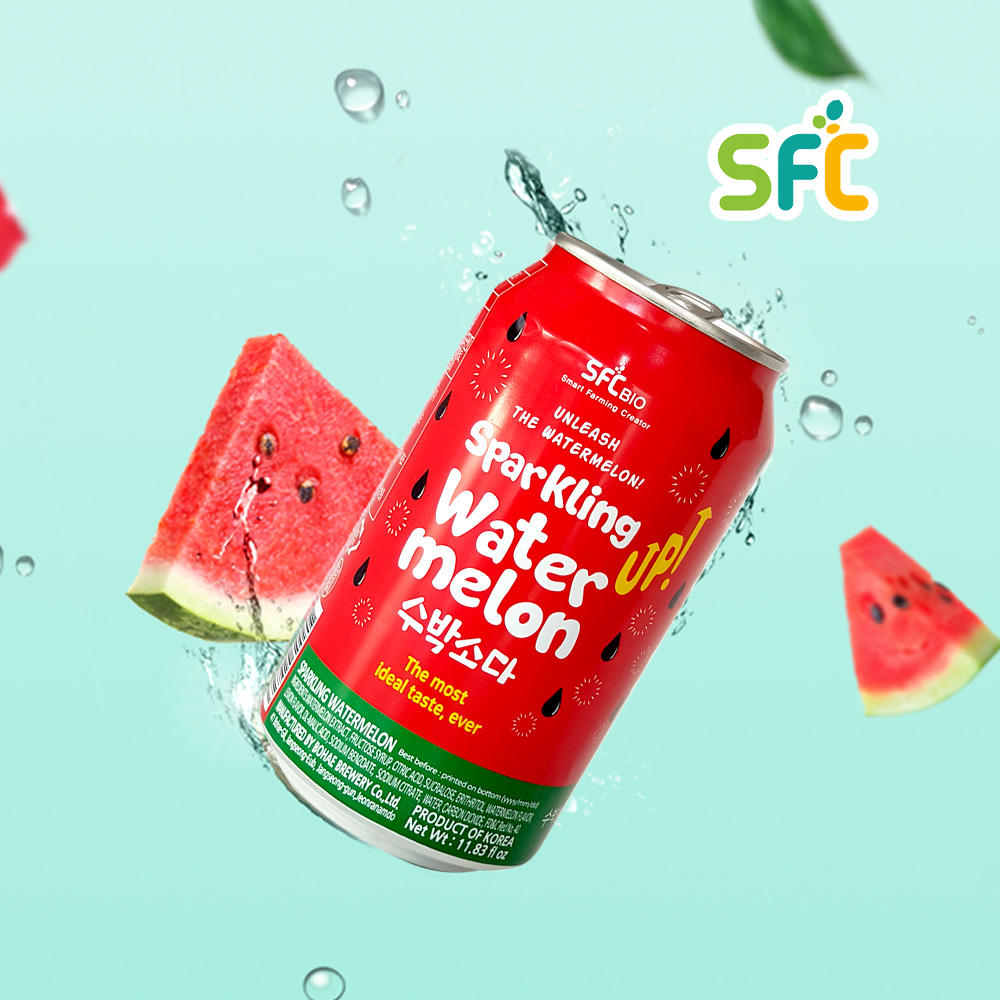 SFC Watermelon Soda
