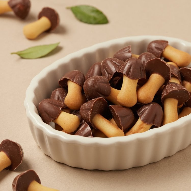 Orion Choco Songi
